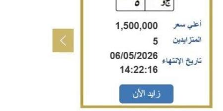 سعرها وصل مليون ونصف.. مزايدة نارية على لوحة سيارة مميزة - جريدة هرم مصر