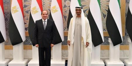 أمل غريب تكتب: تحالف القاهرة أبوظبي.. شراكة صلبة في مواجهة الذباب الإلكتروني - جريدة هرم مصر