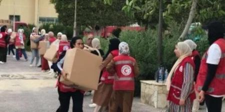 اليوم .. مطار العريش يستقبل طائرة إغاثة إماراتية لغزة تحمل 100 طن من المواد الغذائية - جريدة هرم مصر