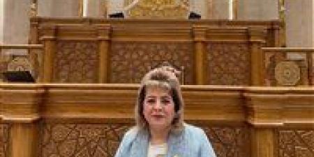 تحرك برلماني لمواجهة «جشع المنصات».. طلب إحاطة بشأن «الغلاء الإلكتروني»وضبط فوضى التسعير عبر السوشيال ميديا - جريدة هرم مصر