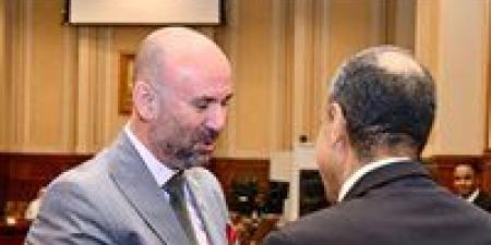 باسم كامل يؤكد أهمية التنسيق بين البرلمان والحكومة خلال اجتماع «خارجية الشيوخ» - جريدة هرم مصر