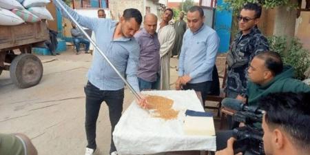 توريد 89 ألف طن من محصول القمح بصوامع وشون بني سويف - جريدة هرم مصر