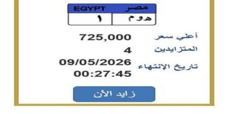 سعرها تخطى الـ 700 ألف جنيه.. مزايدة نارية على لوحة سيارة مميزة - جريدة هرم مصر