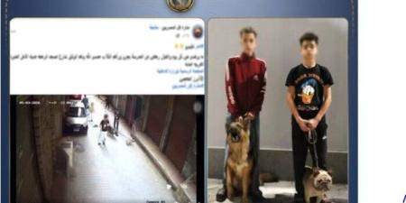 أمن الجيزة يضبط طالبين روّعا الأطفال باستخدام كلاب شرسة بالمنيرة الغربية - جريدة هرم مصر