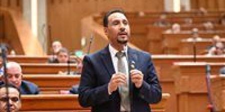 النائب جرجس لاوندي: زيارة الرئيس السيسي للإمارات تجسد وحدة الصف العربي وترسل رسالة ردع حاسمة ضد تهديد أمن الخليج - جريدة هرم مصر
