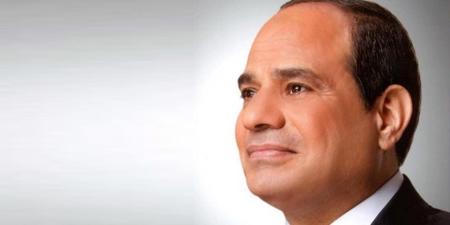 الرئيس السيسي يعود إلى أرض الوطن بعد زيارة أخوية للإمارات وسلطنة عمان - جريدة هرم مصر