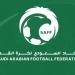 اتحاد الكرة يحدد 25 لاعبًا بالقائمة و8 لاعبين أجانب لأندية روشن - هرم مصر