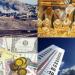 أخبار التوك شو..ارتفاع أسعار الذهب والعملات وتحذيرات من الطقس وتصعيد في غزة وجولة لرئيس الوزراء - هرم مصر