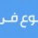 طولان: هذه صفات المدير الفني المميز.. وكنت "أب" للاعبين - هرم مصر