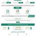 خلال أسبوع.. ضبط (12129) مخالفًا لأنظمة الإقامة وأمن الحدود - هرم مصر