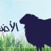 هل تعلم متى شُرعت الأضحية والحكمة منها؟ #دين وحياة #دار الإفتاء - هرم مصر