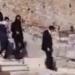 عشرات المستوطنين يقتحمون المسجد الأقصى وسط حراسة شرطة الاحتلال - هرم مصر