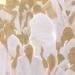 لبيك اللهم لبيك .. شاهد حجاج بيت الله الحرام يبتهلون بالدعاء على "عرفة" - هرم مصر