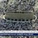 عاجل - 1.6 مليون حاج يؤدون شعيرة رمي الجمرات بأول أيام عيد الأضحى - هرم مصر