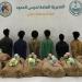ضبط 6 أشخاص لمحاولتهم تهريب كمية من نبات القات المخدر بمنطقة جازان - هرم مصر