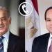 الرئيس السيسي يتلقى اتصالا من رئيس وزراء باكستان للتهنئة بعيد الأضحى - هرم مصر