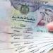 سعر الدرهم الإماراتي مقابل الجنيه اليوم السبت 7 يونيو 2025 - هرم مصر