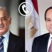 الرئيس السيسي يتلقى اتصالاً هاتفياً من رئيس الوزراء الباكستاني شهباز شريف - هرم مصر