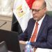وزير العمل يهنئ فلسطين باعتمادها «دولة مراقب» بمنظمة العمل الدولية - هرم مصر