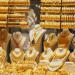 كم سجل آخر تحديث لـ سعر الذهب اليوم الاثنين 9 يونيو 2025؟ - هرم مصر