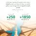 السياحة تنفذ 1850 زيارة رقابية على مرافق الضيافة في المدينة المنورة - هرم مصر