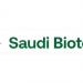 الاثنين المقبل.. المملكة تشارك في مؤتمر BIO الدولي في بوسطن الأمريكية - هرم مصر