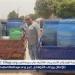 ضبط 11 برميل لبن غير صالح للاستهلاك الآدمي في إهناسيا ببني سويف - هرم مصر