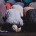 موعد صلاة الظهر.. مواقيت الصلاة اليوم الجمعة 13 يونيو 2025 - هرم مصر