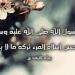 "من حسن إسلام المرء..تركُه ما لا يعنيه" خلق نبوي تشكو منه القلوب #الأخلاق_الإسلامية #من_حسن_إسلام_المرء #لا_تتدخل_فيما_لا_يعنيك #السكوت_حكمة #مالك_بن_دينار #الحديث_النبوي #الدين_معاملة #آداب_الإسلام - هرم مصر