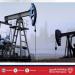 ارتفاع النفط و"برنت"يسجل 75.93 دولار للبرميل - هرم مصر