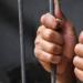 إحالة جامع قمامة للجنايات أنهى حياة صديقه بسبب خلافات على الكانزات - هرم مصر