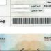 برقم الرخصة.. طريقة الاستعلام عن مخالفات المرور من الإنترنت - هرم مصر