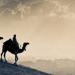 الهجرة النبوية.. متى وقعت فعليًا؟ .. تفاصيل لا يعرفها الكثيرون - هرم مصر