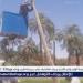 بعد إستغاثات عديدة من الأهالي.. رئيس مركز قنا يستجيب للأهالي بتركيب وزراعة أعمدة إنارة - هرم مصر