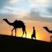لماذا نحتفل بهجرة النبي فى شهر المحرم ؟ - هرم مصر