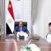 الرئيس السيسى يوجه بالاستمرار فى تطوير المطارات من خلال شراكات دولية وتحفيز القطاع الخاص - هرم مصر