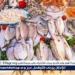 أسعار السمك البلطي والبوري اليوم السبت 28-6-2025 في محافظة قنا - هرم مصر