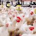 أسعار الدواجن والبيض في مصر اليوم الأحد - هرم مصر