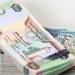 سعر الدرهم الإماراتي اليوم الإثنين 30 يونيو 2025 في بنك مصر والبنك الأهلي - هرم مصر