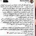 مروة صبري تدافع عن شيرين بعد حفل موازين: صوت مصر الحقيقي - هرم مصر