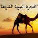 كيف نطبق مفهوم الهجرة النبوية ونفوز بثوابها فى عصرنا الحالي؟  #دين وحياة #دار الإفتاء - هرم مصر
