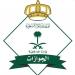 الجوازات تصدر (8,155) قرارًا إداريًا بحق مخالفين لأنظمة الإقامة والعمل وأمن الحدود - هرم مصر