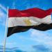 مصر تجدد دعمها لاستقرار الصومال خلال مشاركتها في الاجتماع الوزاري الافتراضي لمجلس السلم والأمن التابع للاتحاد الإفريقي - هرم مصر