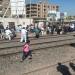 مصرع سيدة وإصابة شقيقتها أسفل عجلات قطار قويسنا بالمنوفية - هرم مصر