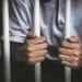 حاز حشيش وقاد تحت تأثير المخدر.. المشدد 15 عام لسائق بالخصوص - هرم مصر