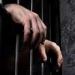تسبب بإنهاء حياة شخص وشرع في قتل آخرين.. السجن المؤبد لعاطل بالخصوص - هرم مصر