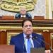 النائب محمد أبو العينين: القضية الفلسطينية قضية مصر الأولى - هرم مصر