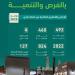 أمانة المدينة المنورة تُصدر أكثر من 4700 رخصة وتصريح عبر منصة بلدي - هرم مصر