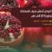 ارتفاع إنتاج الرمان - هرم مصر