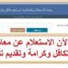رقم شكاوى تكافل وكرامة 2025 أون لاين.. ماذا تفعل لو توقف صرف الدعم؟ - هرم مصر